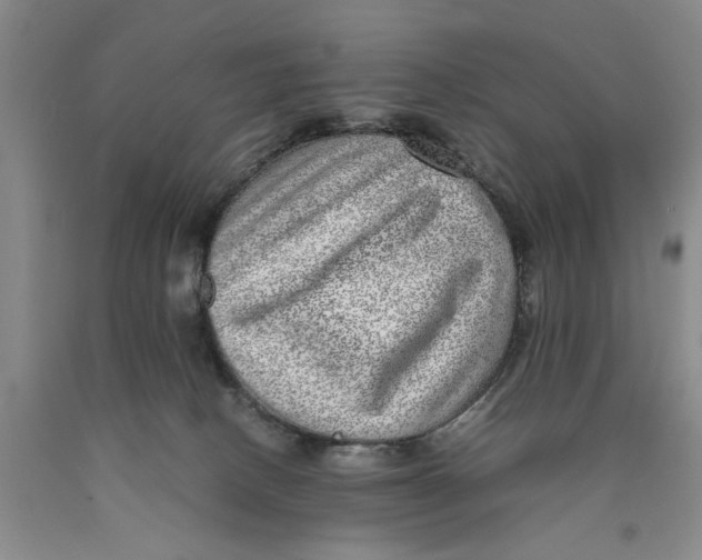 X0000089920082200707271745