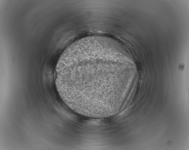 X0000089920086200707271745