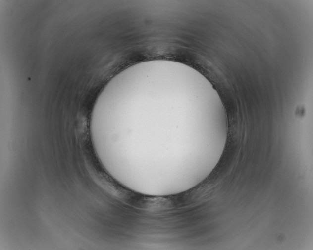 X0000089920087200707271745