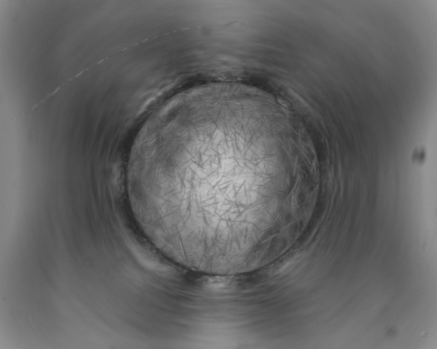 X0000089920088200707271745