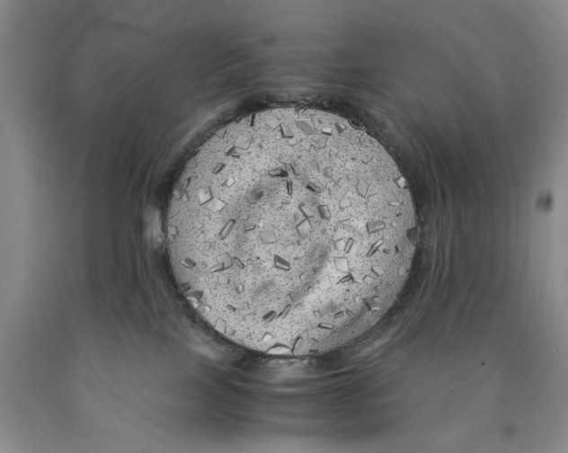 X0000089920089200707271745