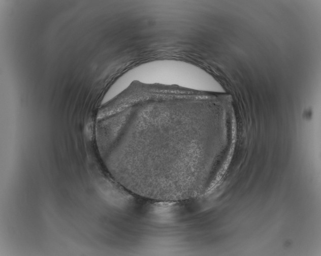 X0000089920090200707271745