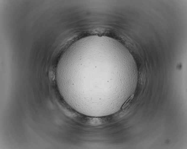 X0000089920091200707271745