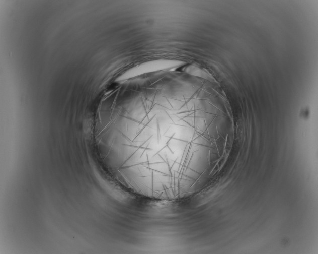 X0000089920092200707271745