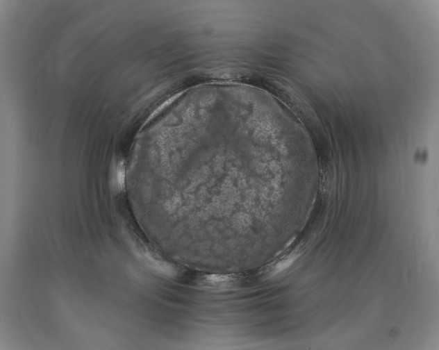 X0000089920095200707271745