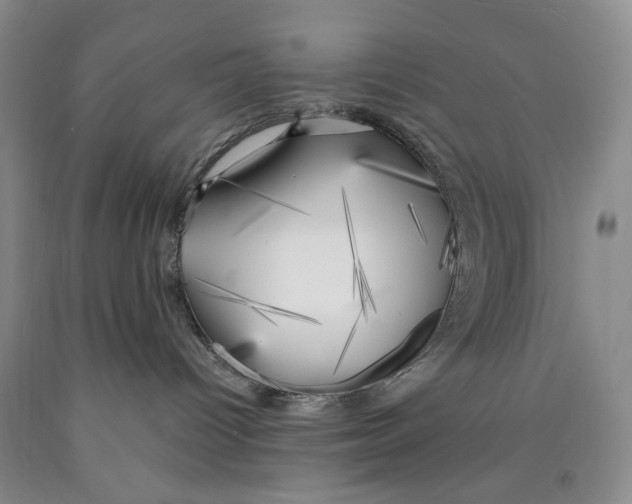 X0000089920096200707271745