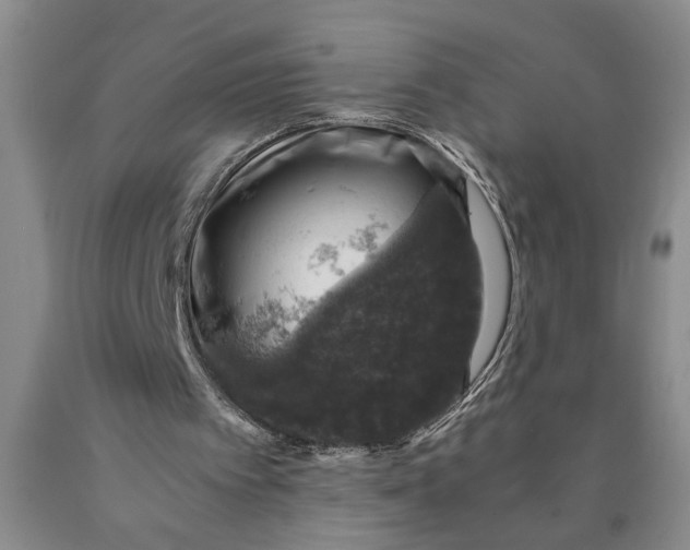 X0000089920097200707271744