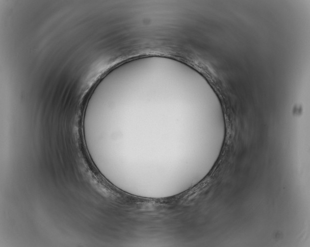 X0000089920098200707271744