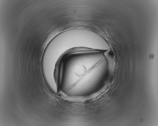 X0000089920099200707271744