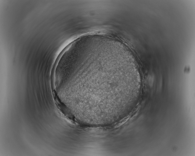 X0000089920100200707271744