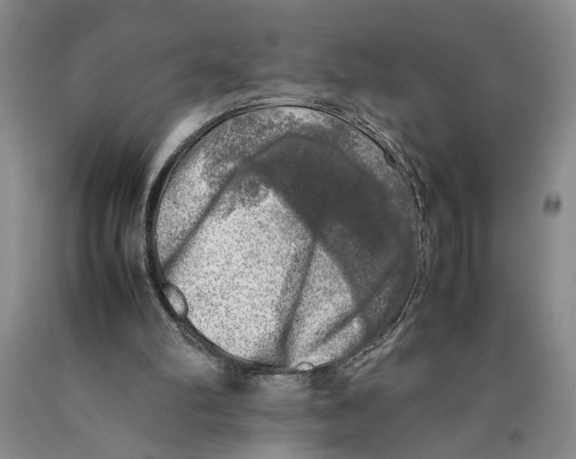 X0000089920102200707271744