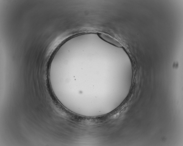 X0000089920103200707271744