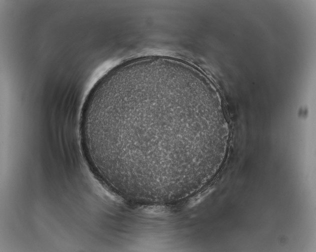 X0000089920104200707271744