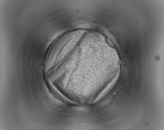 X0000089920106200707271744