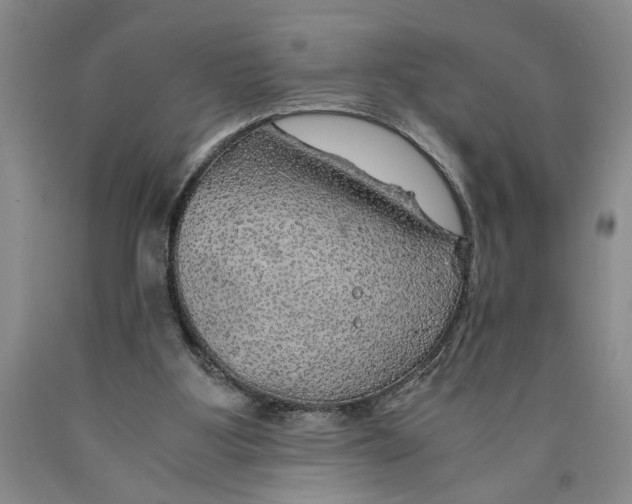 X0000089920107200707271744