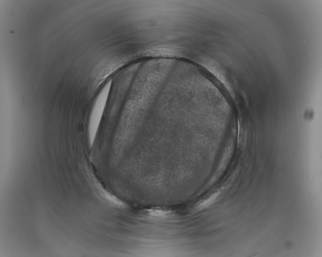 X0000089920109200707271744