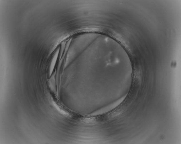 X0000089920110200707271744