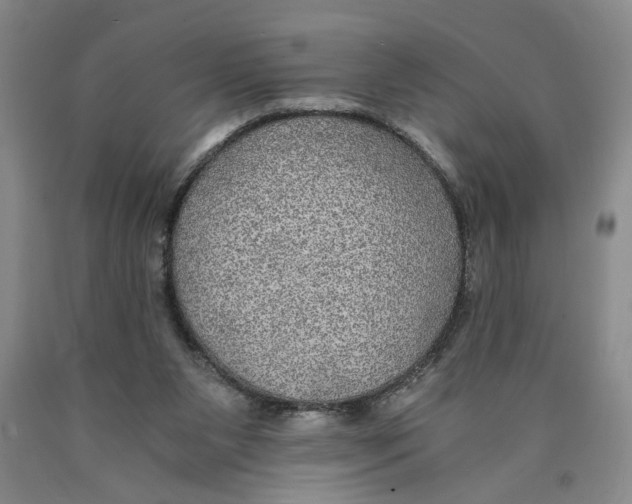 X0000089920111200707271744