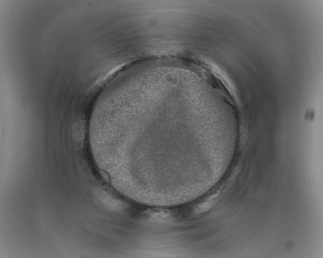 X0000089920113200707271744