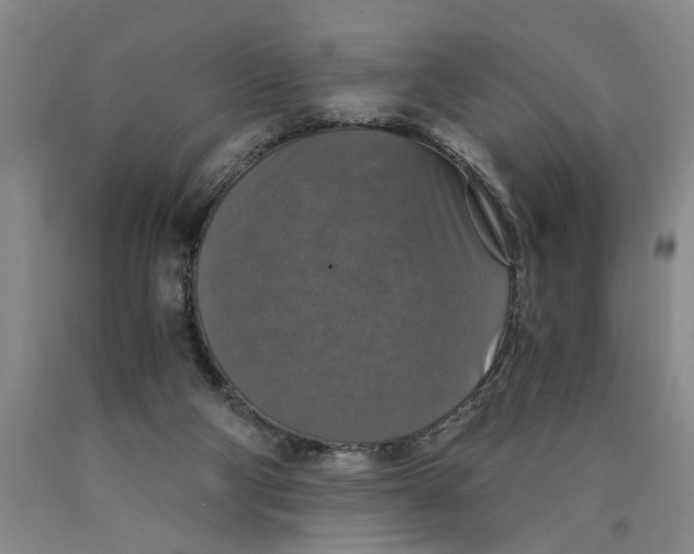 X0000089920114200707271744