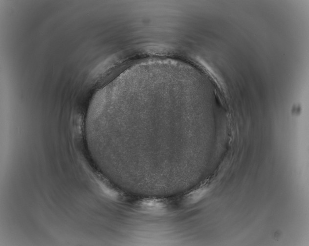 X0000089920117200707271744