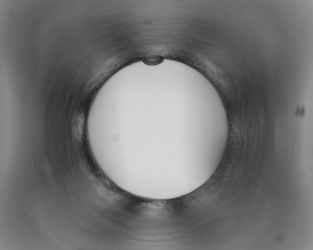 X0000089920118200707271744