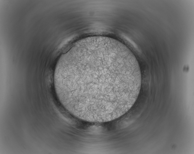 X0000089920119200707271744