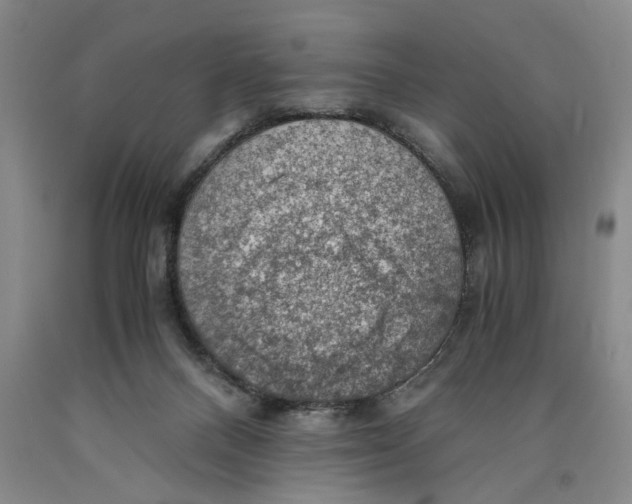 X0000089920120200707271744