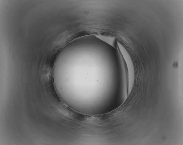 X0000089920125200707271744