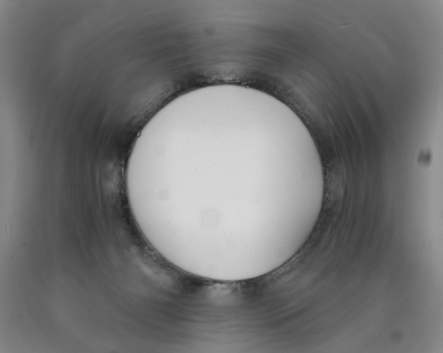 X0000089920126200707271744