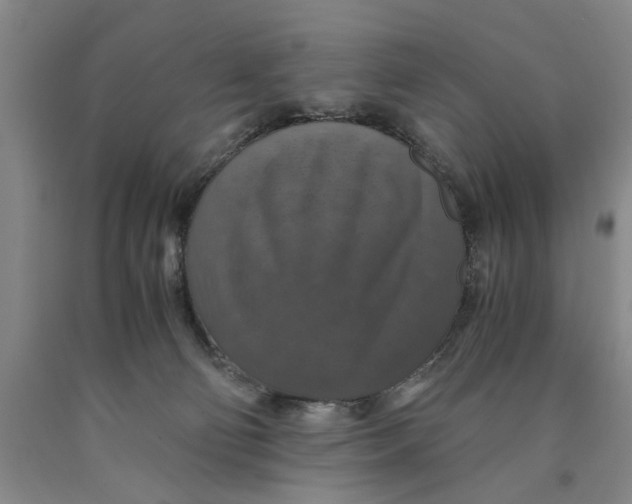 X0000089920130200707271744