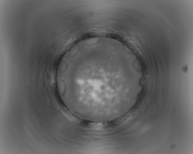 X0000089920131200707271744