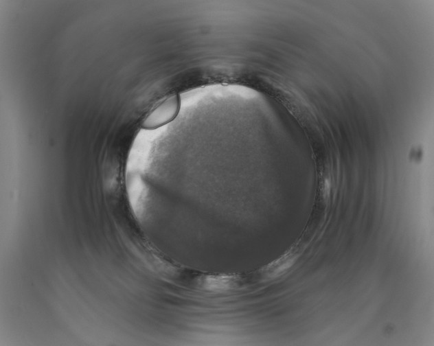 X0000089920134200707271744