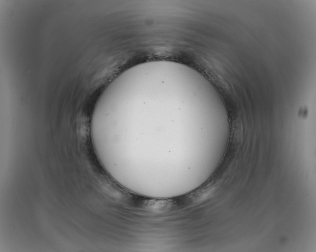 X0000089920135200707271744