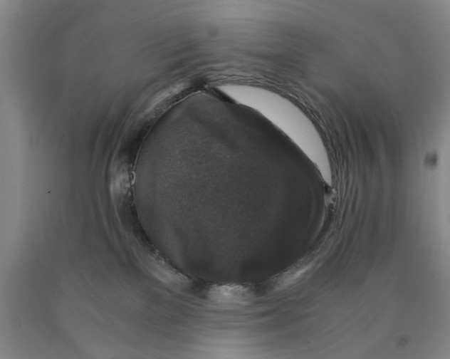 X0000089920137200707271744