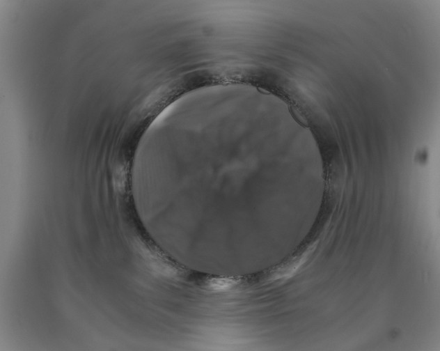 X0000089920139200707271744