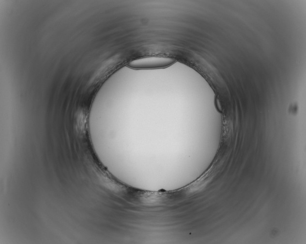 X0000089920142200707271744