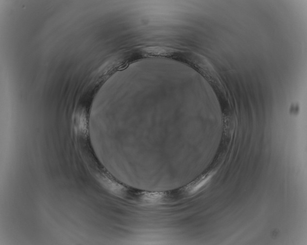 X0000089920143200707271744