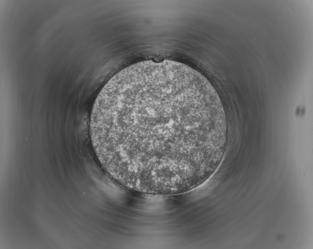 X0000089920144200707271744