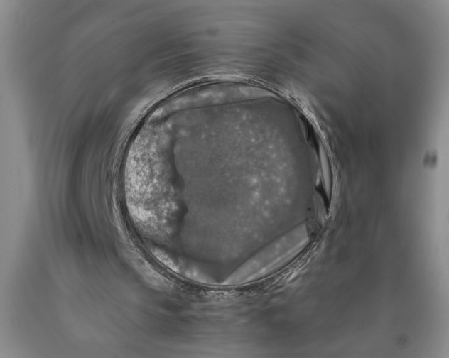 X0000089920145200707271743