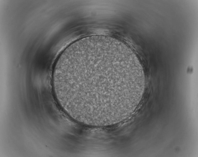 X0000089920146200707271743