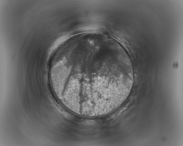 X0000089920149200707271743