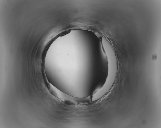 X0000089920150200707271743