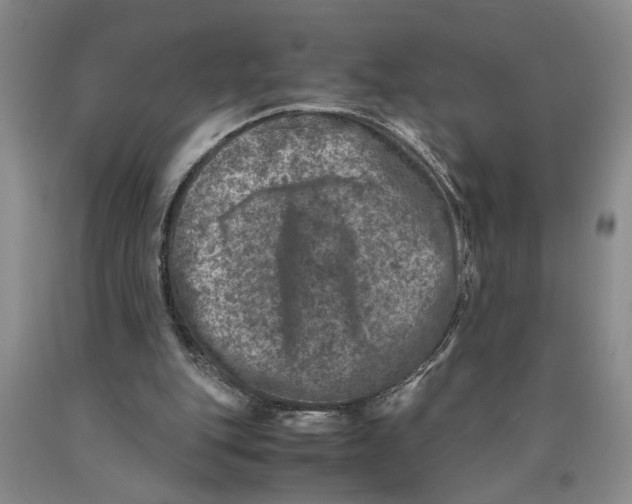 X0000089920151200707271743