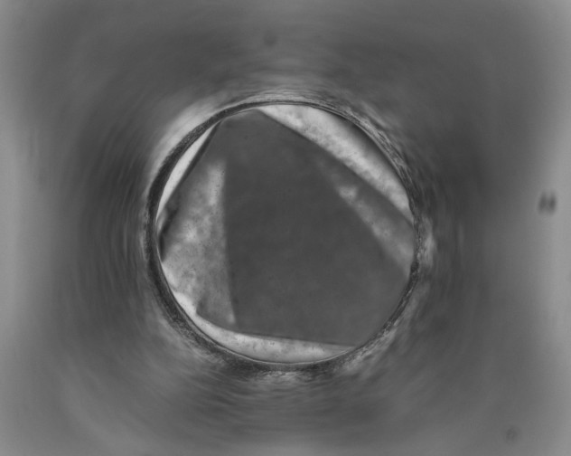 X0000089920152200707271743