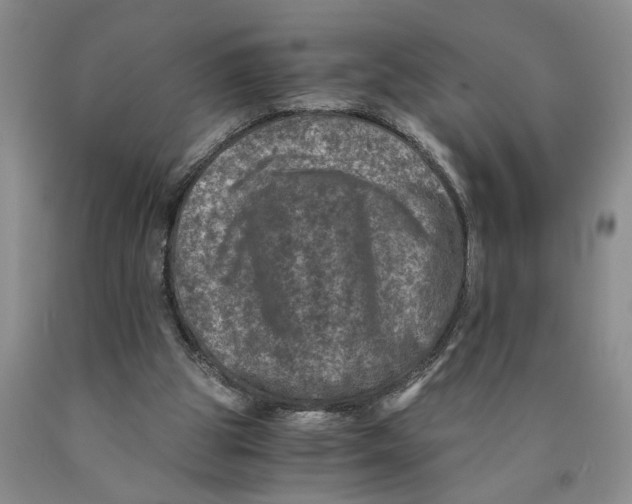 X0000089920153200707271743