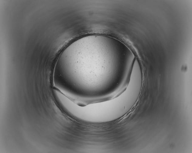 X0000089920154200707271743