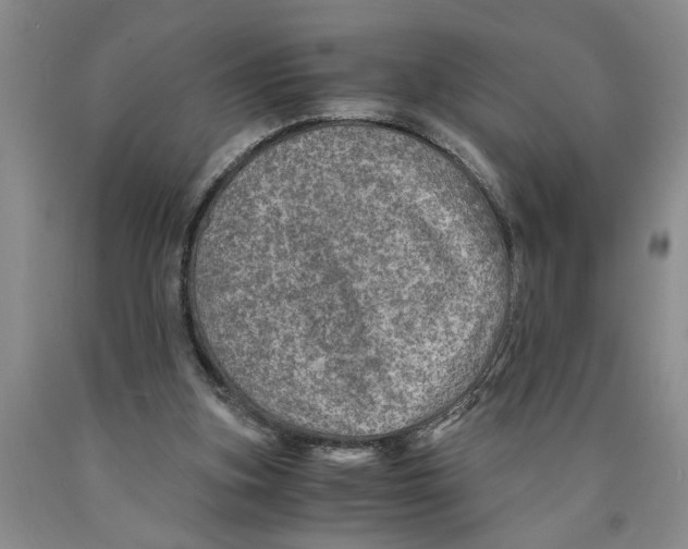 X0000089920155200707271743