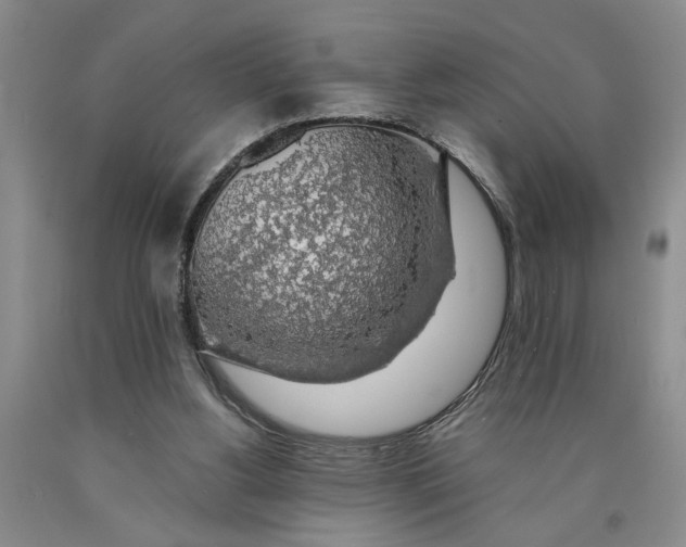 X0000089920156200707271743