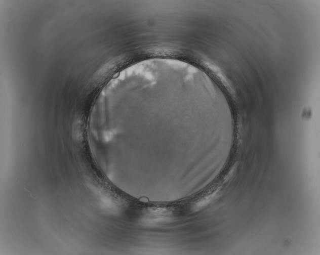 X0000089920161200707271743